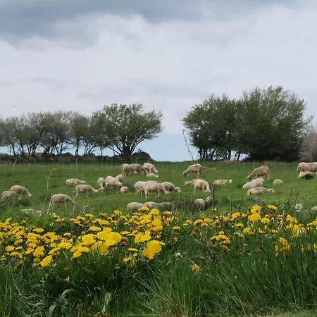 Vakantiehuis 10 Pers Avec 4 Et 3 Salles D'eau, Animaux Admis - Fr-1-582-94 *