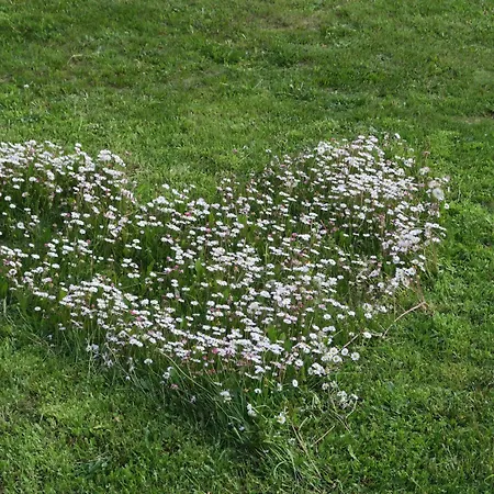 10 Pers Avec 4 Et 3 Salles D'eau, Animaux Admis - Fr-1-582-94 Дом отдыха