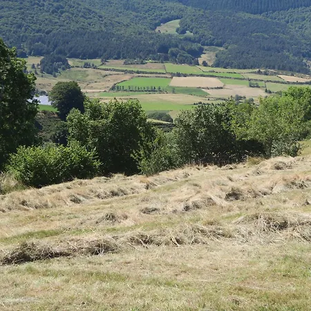 10 Pers Avec 4 Et 3 Salles D'eau, Animaux Admis - Fr-1-582-94